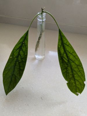 �ʐ^1